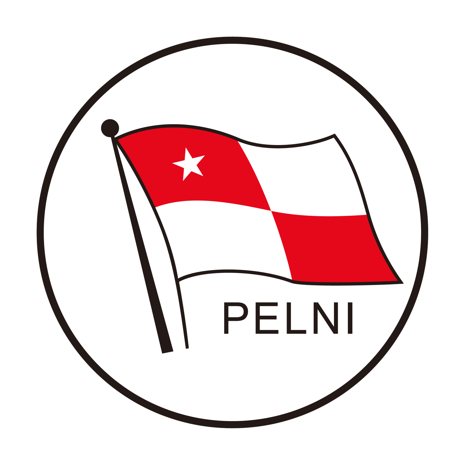PT PELNI